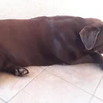 דירה Mika פולה