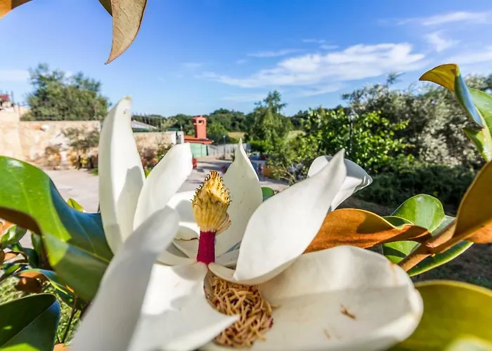 Mika 아파트 풀라